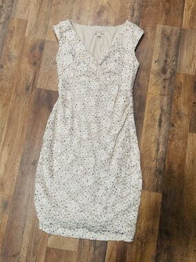 Embellished Ivory Lace Sheath Dress